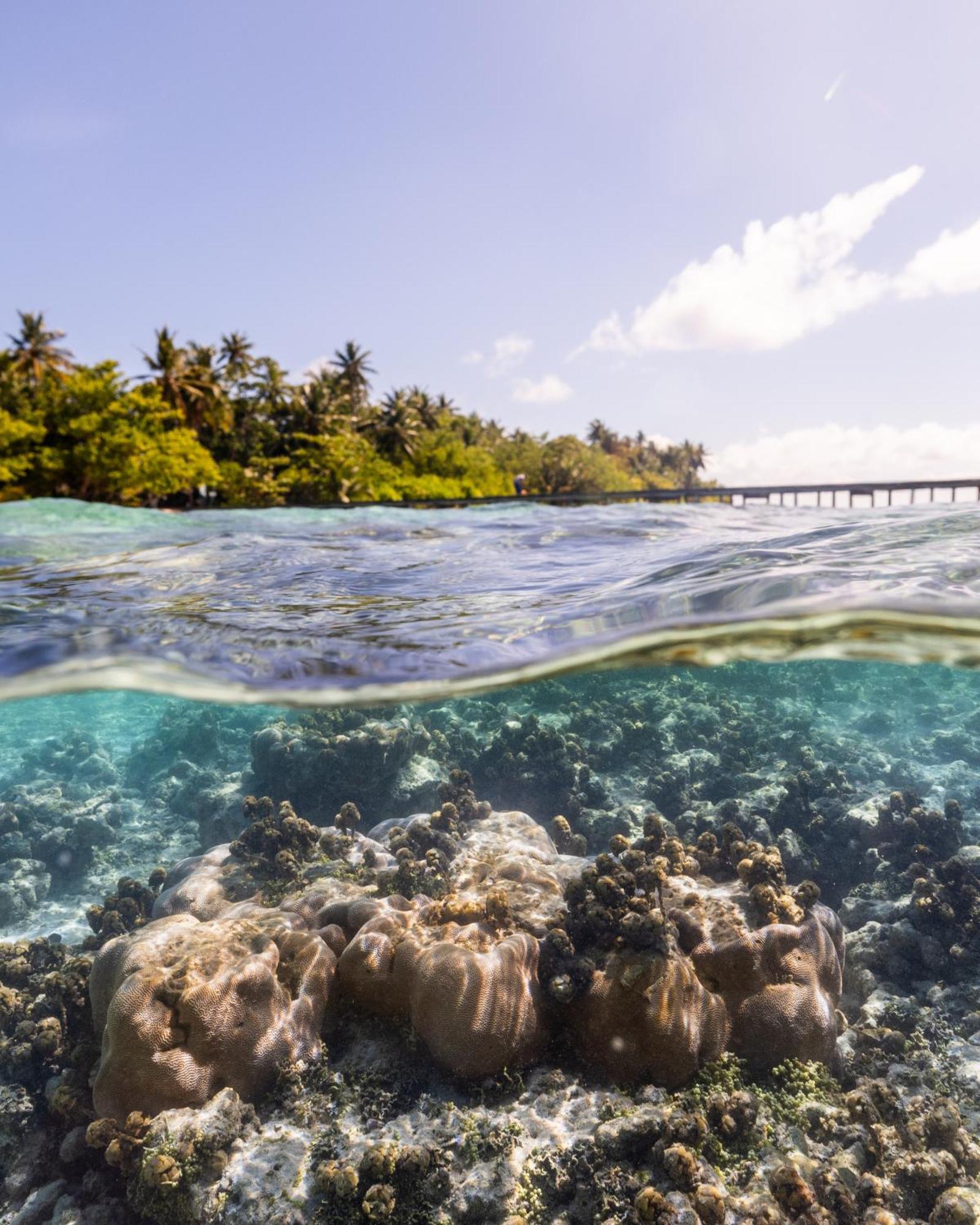 Kirulhiya Maldives Hotel Omadhoo Екстер'єр фото